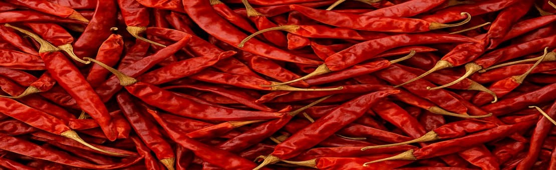 Dry Red Chillies